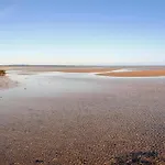 Strandskadevej Xi
