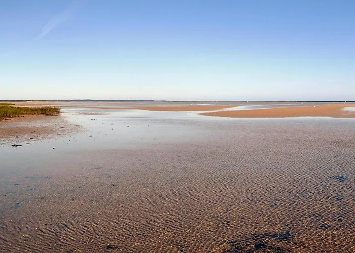 Strandskadevej Xi
