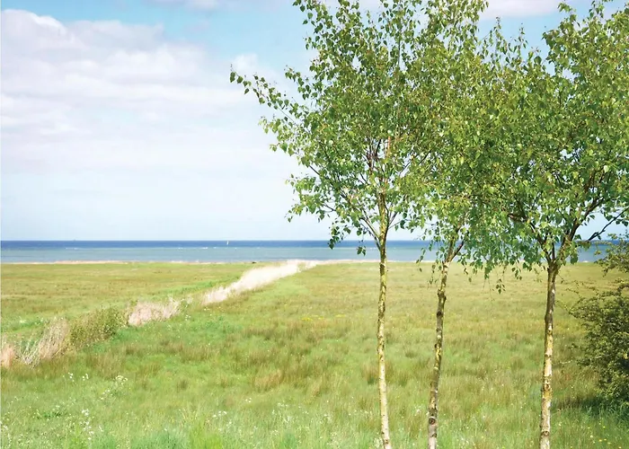 Strandskadevej Xi Ørsted